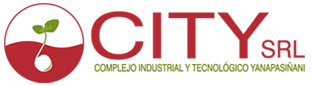 CITY S.R.L. Complejo Industrial y Tecnologico Yanapasiñani